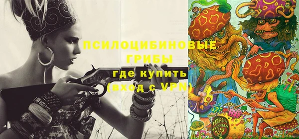 хмурый Липки