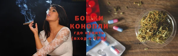 хмурый Липки