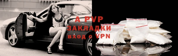 хмурый Липки