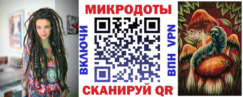 Галлюциногенные грибы Cubensis  Купить где  Новосибирск 